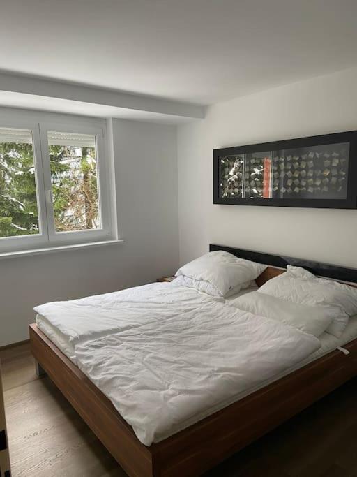 Seewohnung Mit Direktem Seezugang-Skiliftnaehe Villach Eksteriør bilde